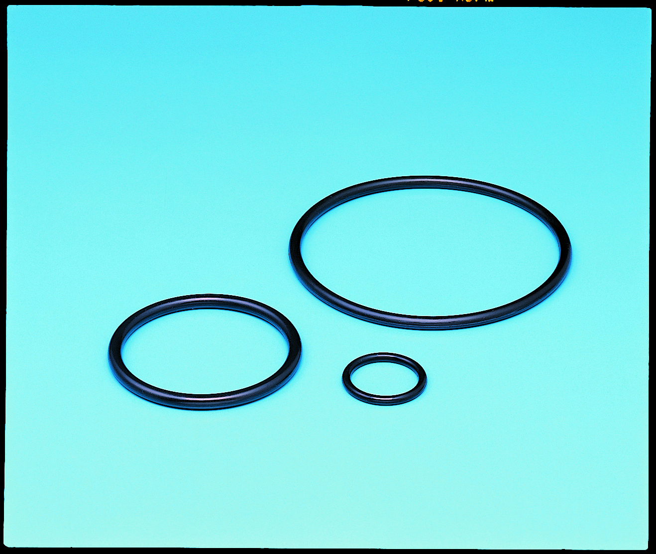High Performance Elastomer o-ring